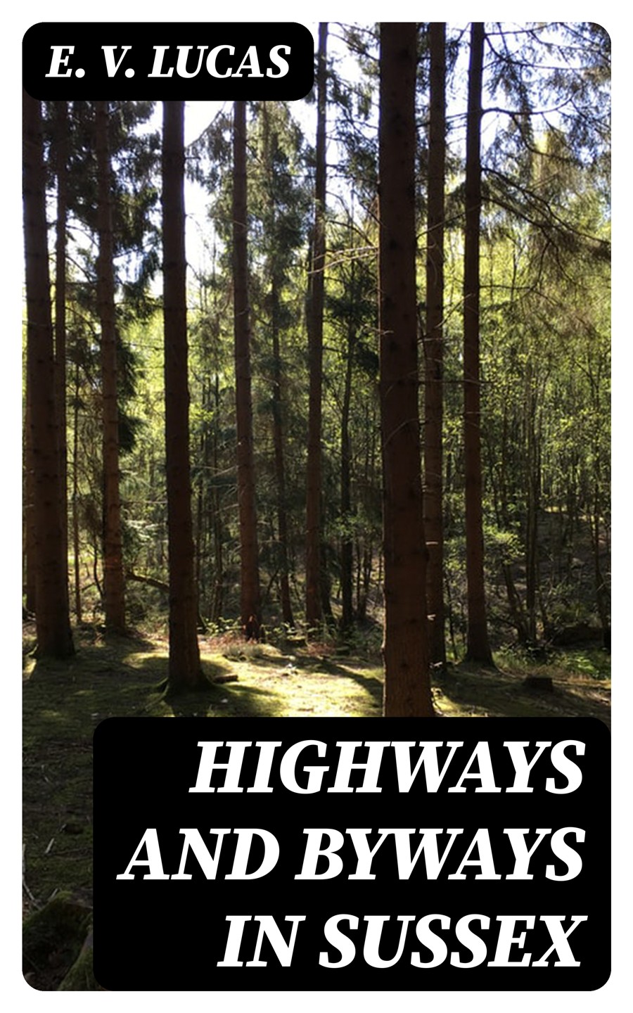 Highways And Byways In Sussex E V Lucas