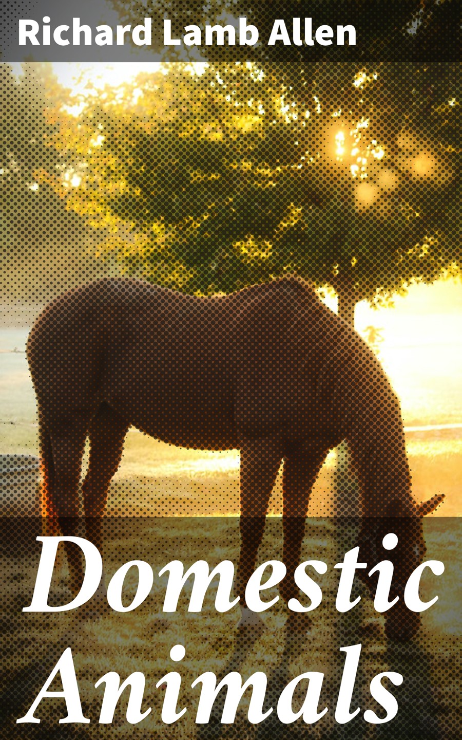 Domestic Animals Richard Lamb Allen