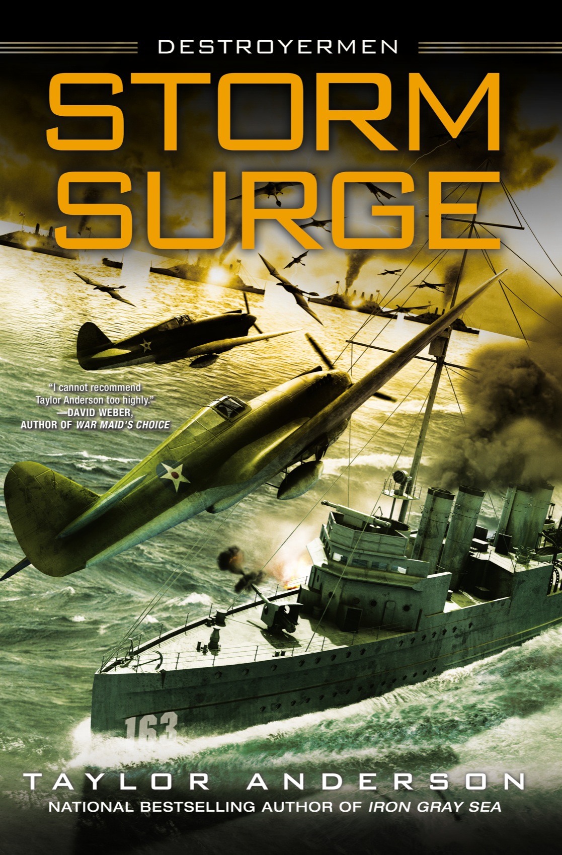 Storm Surge Taylor Anderson