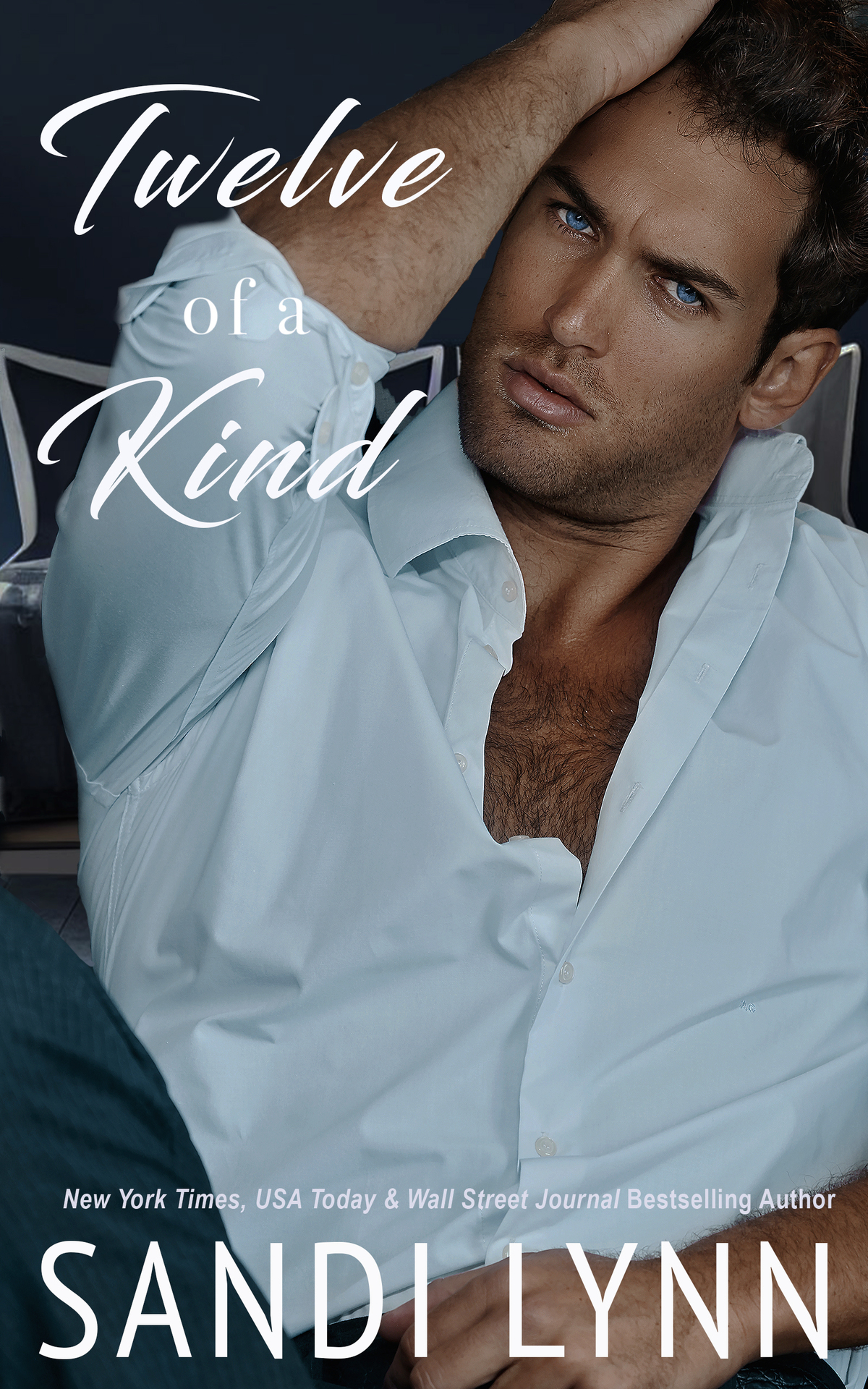 Twelve Of A Kind Kind Brothers Series Book 17 Sandi Lynn