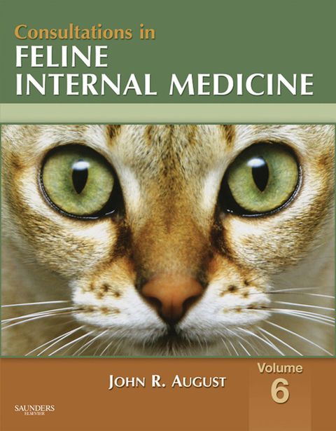 Consultations In Feline Internal Medicine Volume 6 1st Edition August Bvetmed Ms Mrcvs