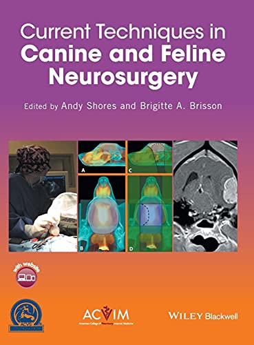 Current Techniques In Canine And Feline Neurosurgery 1st Edition Andy Shores