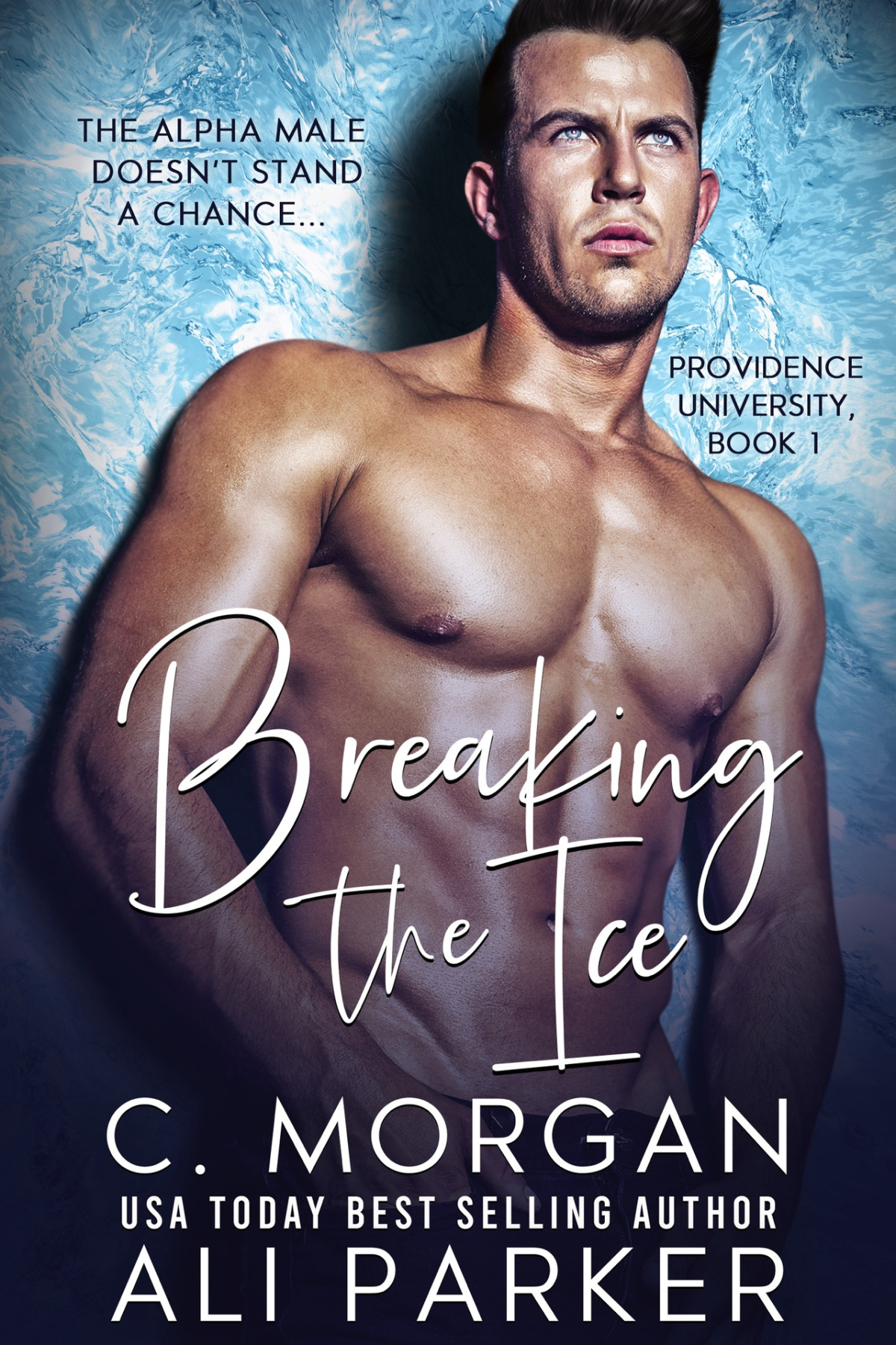 Breaking The Ice Providence University Book 1 Morgan C Parker