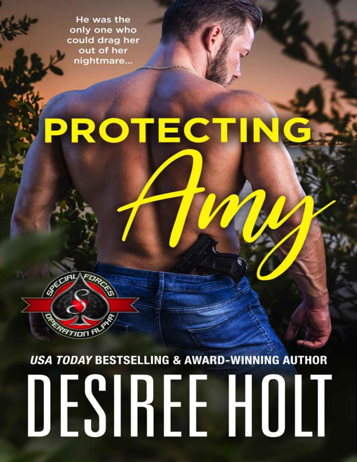 Protecting Amy Desiree Holt Operation Alpha