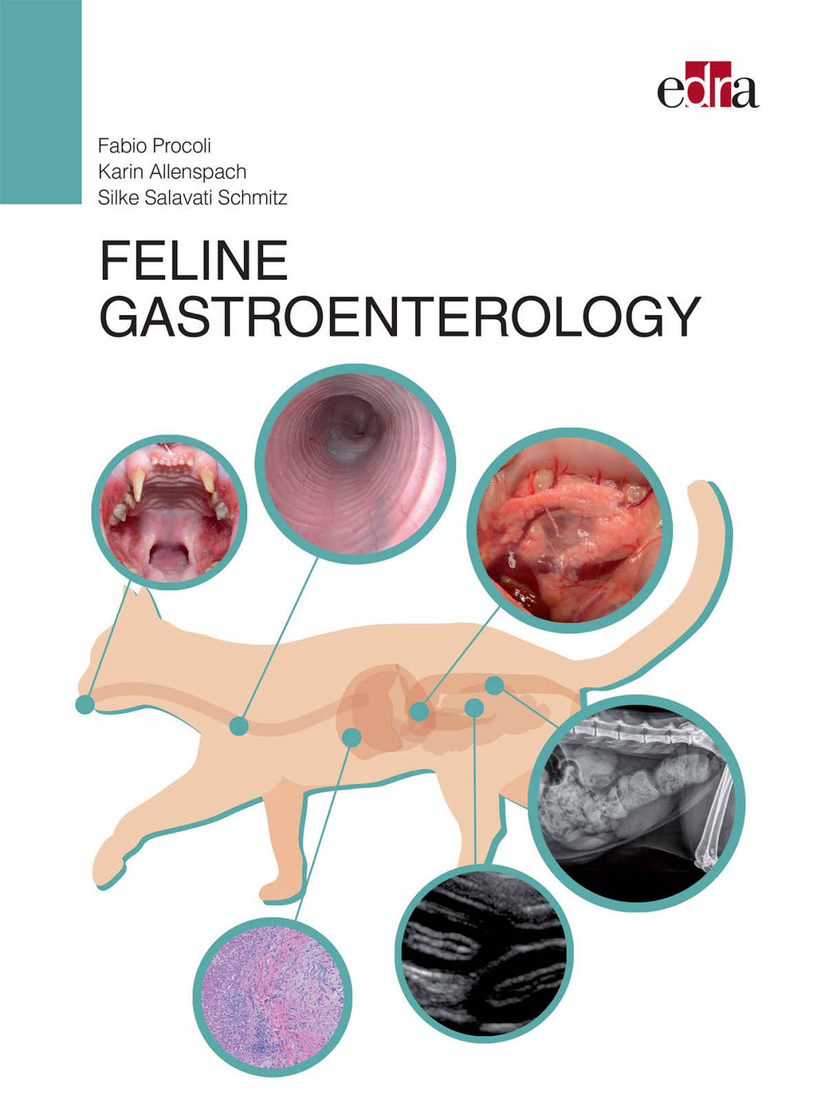 Feline Gastroenterology Procoli Fabio Allenspach Karin Salavati