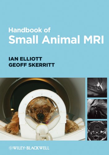 Handbook Of Small Animal Mri 1st Edition Elliott Ian Skerritt