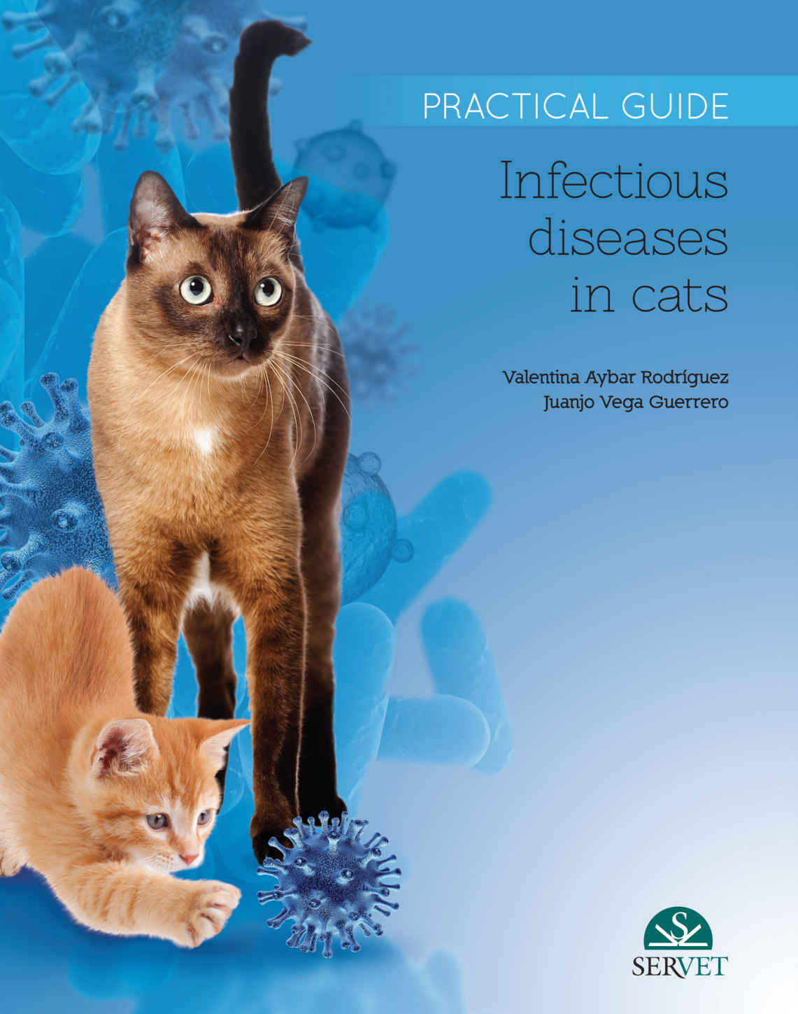 Infectious Diseases In Cats Practical Guide Vega Guerrero Juanjo Aybar Gonzlez