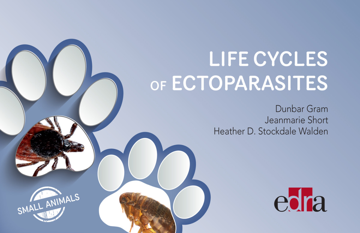 Life Cycles Of Ectoparasites Dunbar Gram Jeanmarie Short Heather D Stockdale Walden