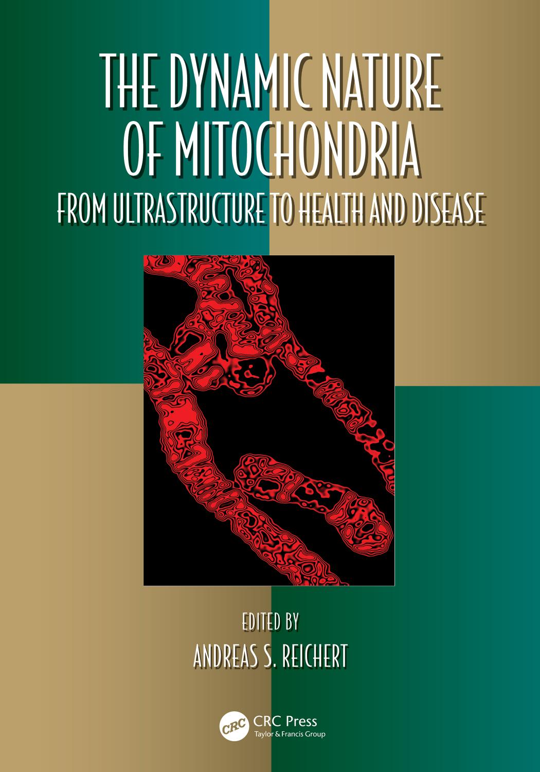 The Dynamic Nature Of Mitochondria From Ultrastructure To Health And Disease Andreas S Reichert
