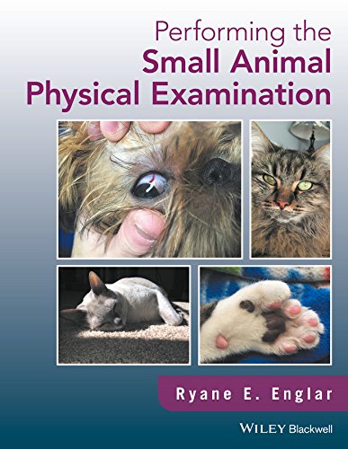 Performing The Small Animal Physical Examination 1st Edition Englar