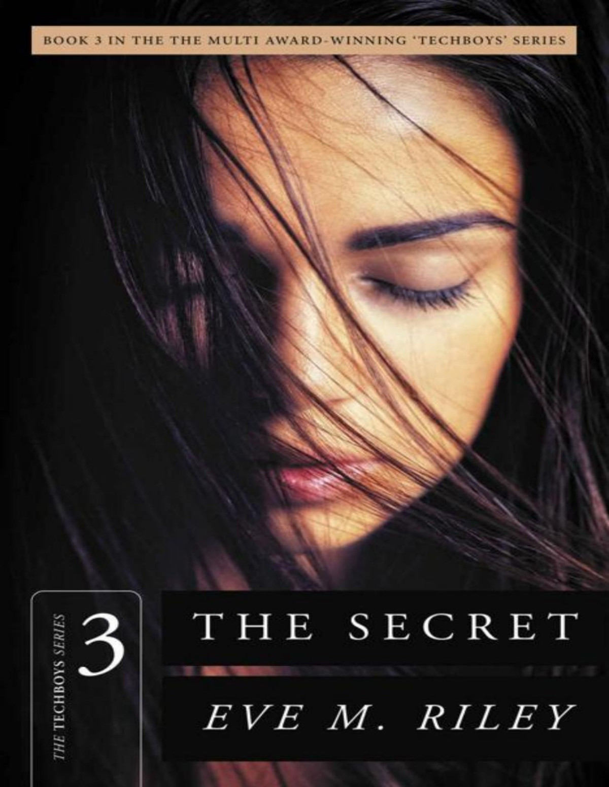 The Secret A Steamy Second Chance Romance The Techboys Series Book 3 Eve M Riley