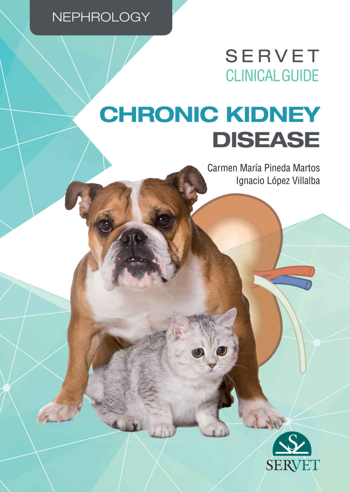 Servet Clinical Guide Chronic Kidney Disease Carmen Mara Pineda Martos
