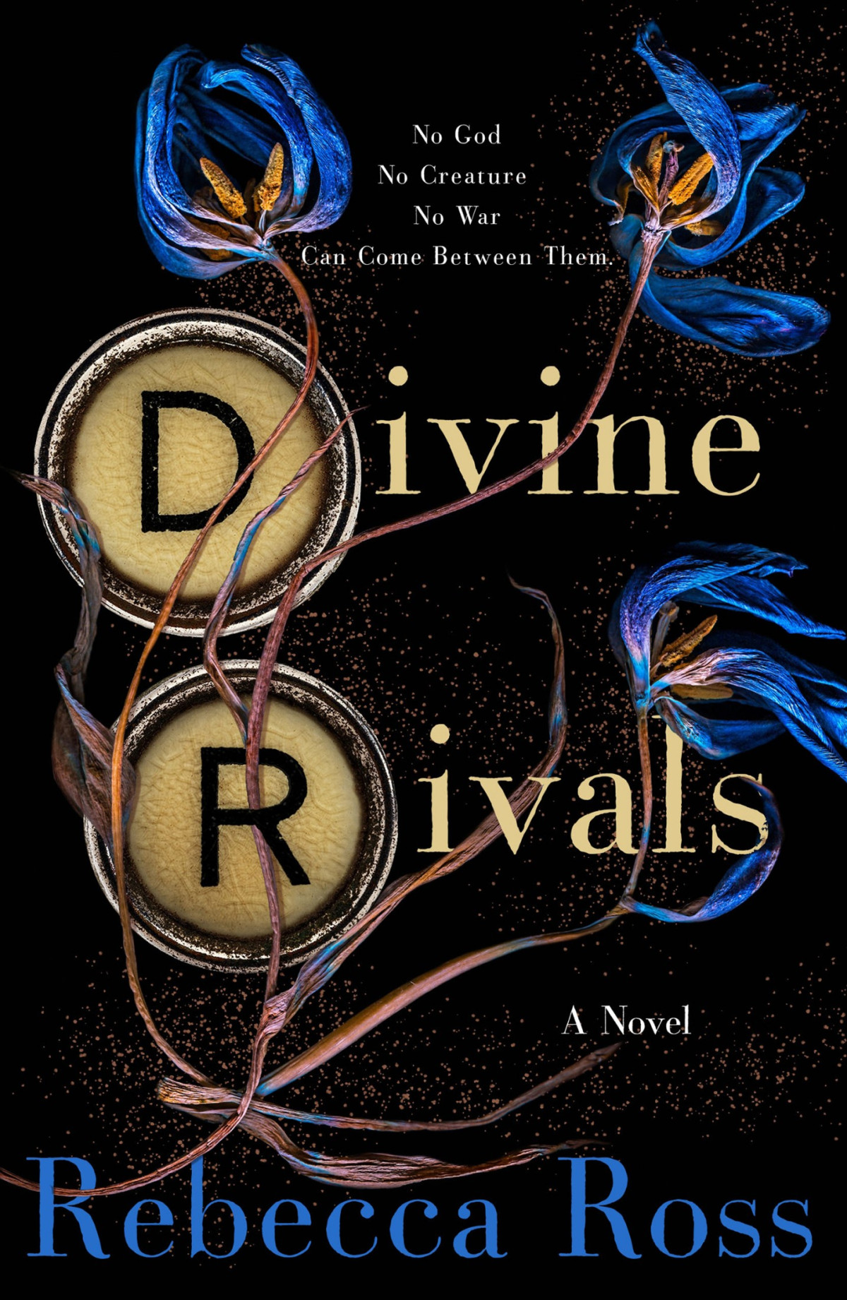 Divine Rivals Letters Of Enchantment 1 Rebecca Ross