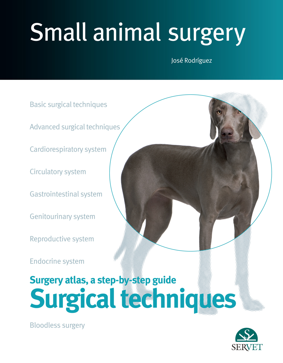 Surgical Techniques Small Animal Surgery Jos Rodrguez