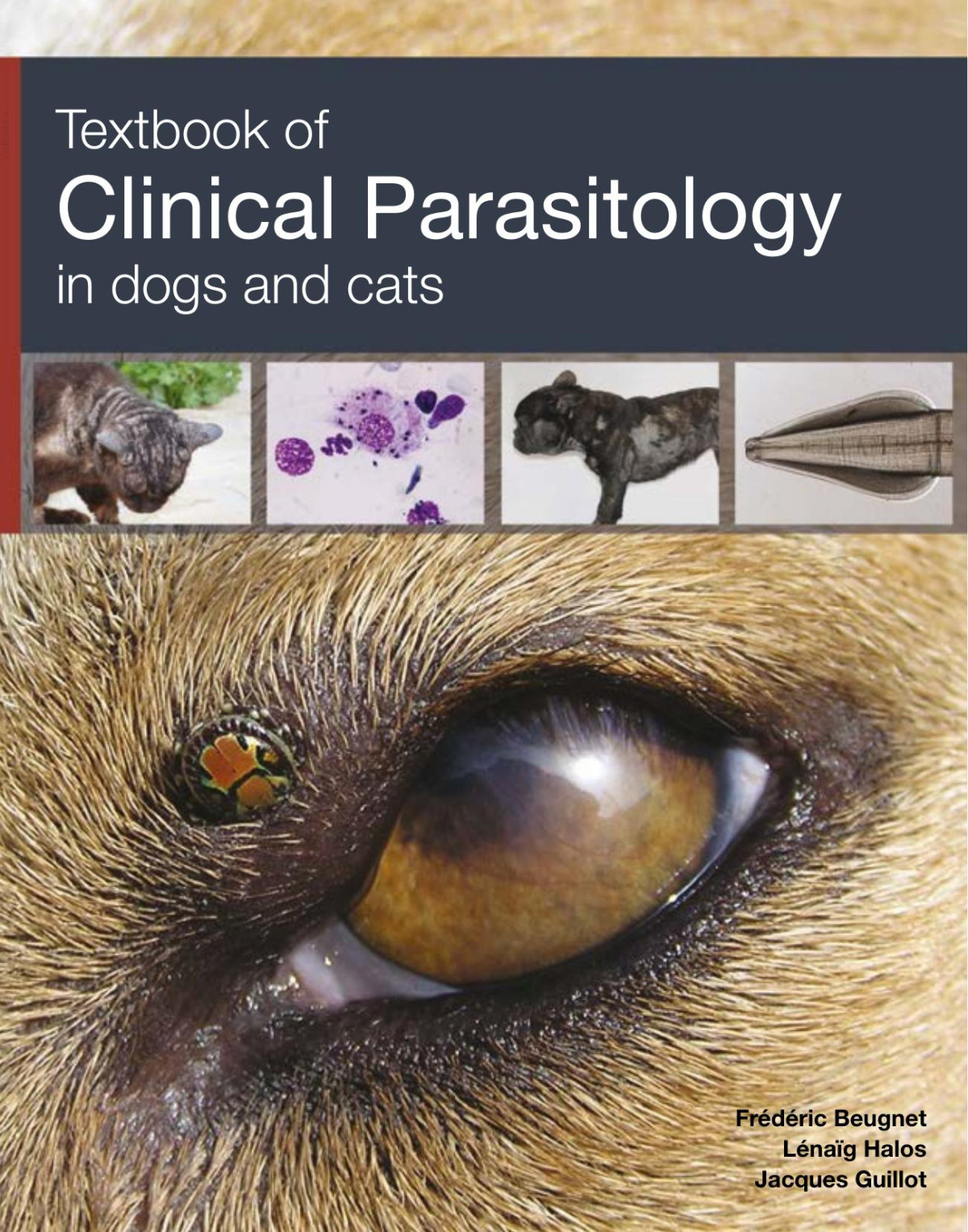 Textbook Of Clinical Parasitology In Dogs And Cats Frdric Beugnet