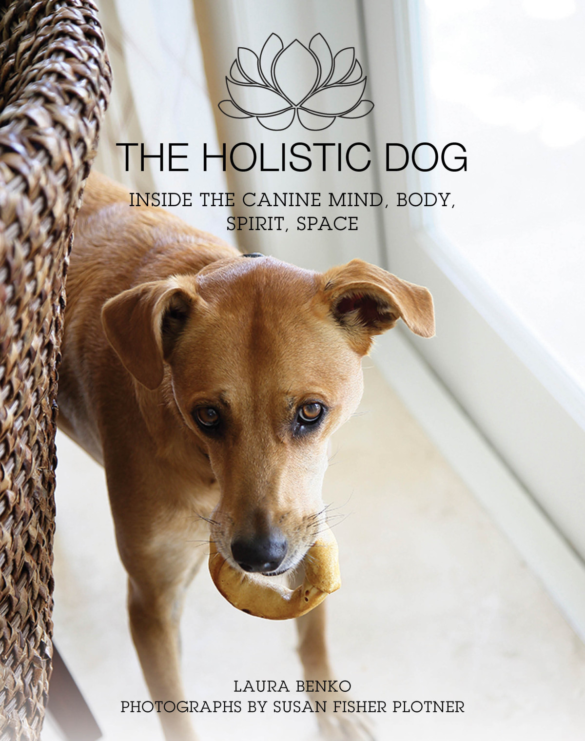 The Holistic Dog Laura Benko