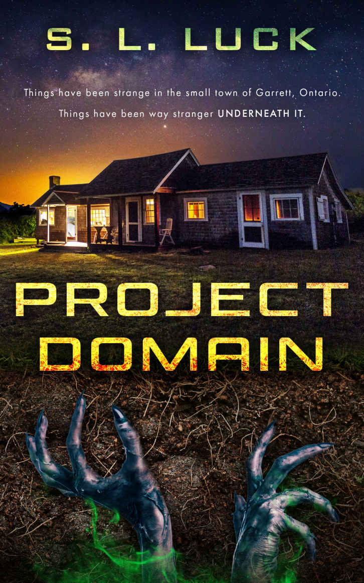 Project Domain Sl Luck