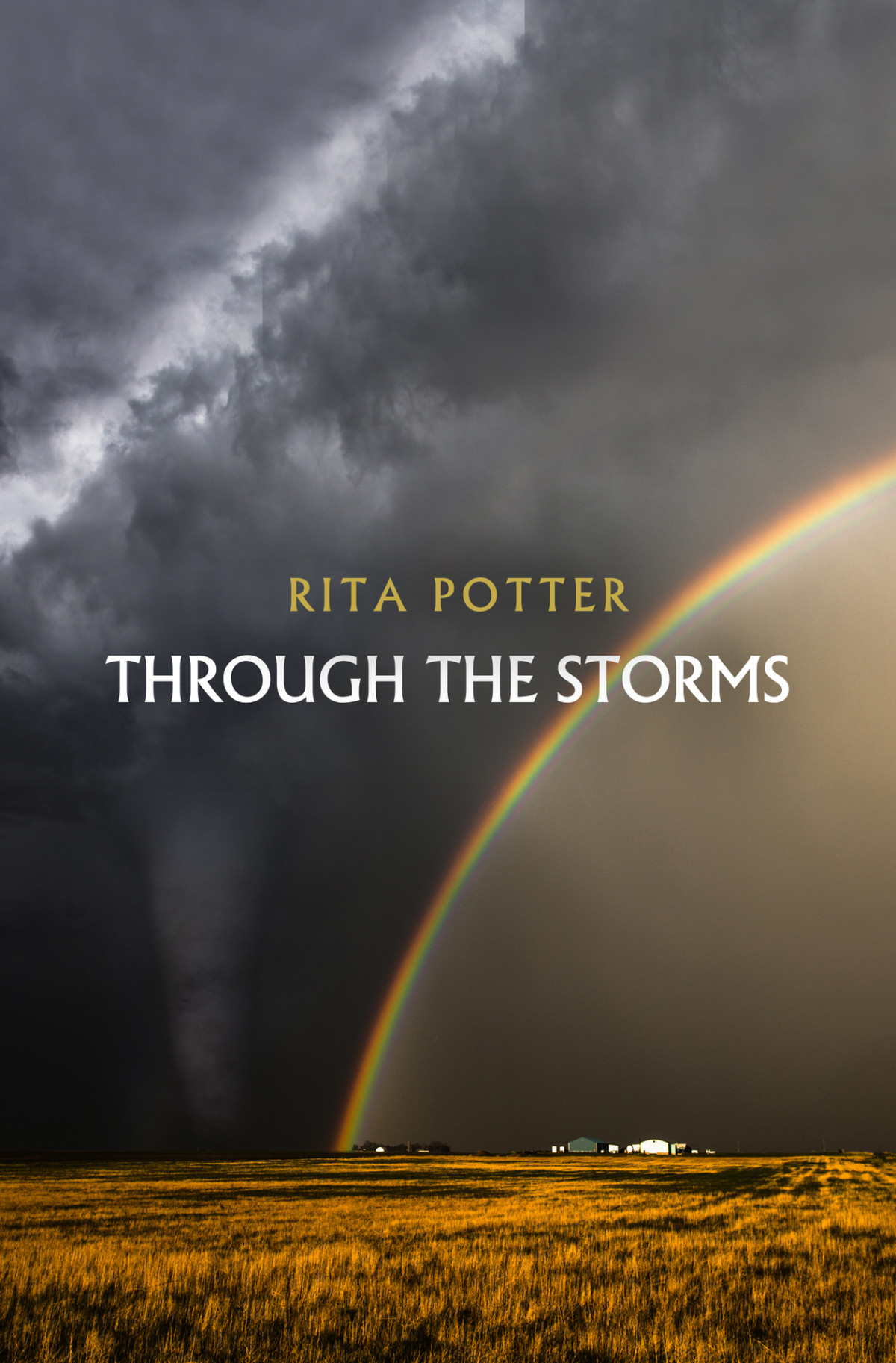 Through The Storms Rita Potter