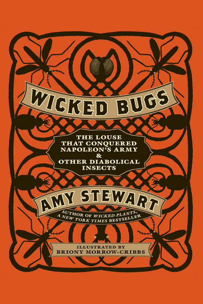 Wicked Bugs Amy Stewart