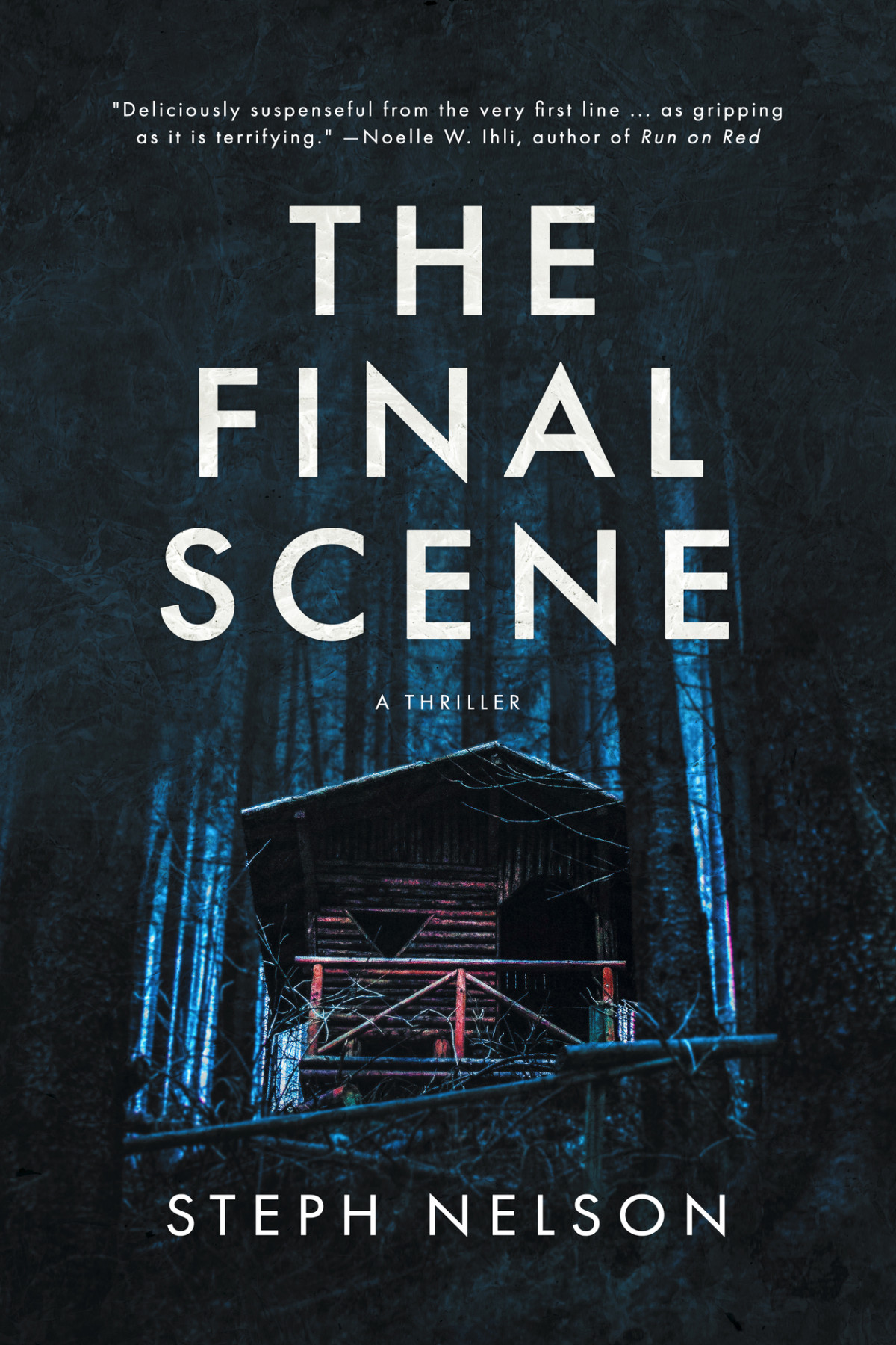The Final Scene A Thriller Steph Nelson