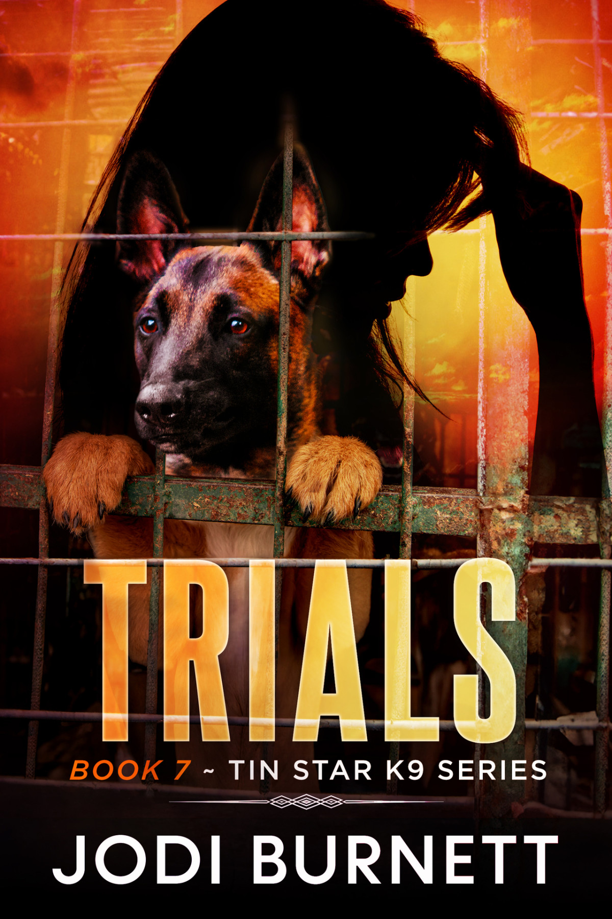 Trials Tin Star K9 Series Book 7 Jodi Burnett