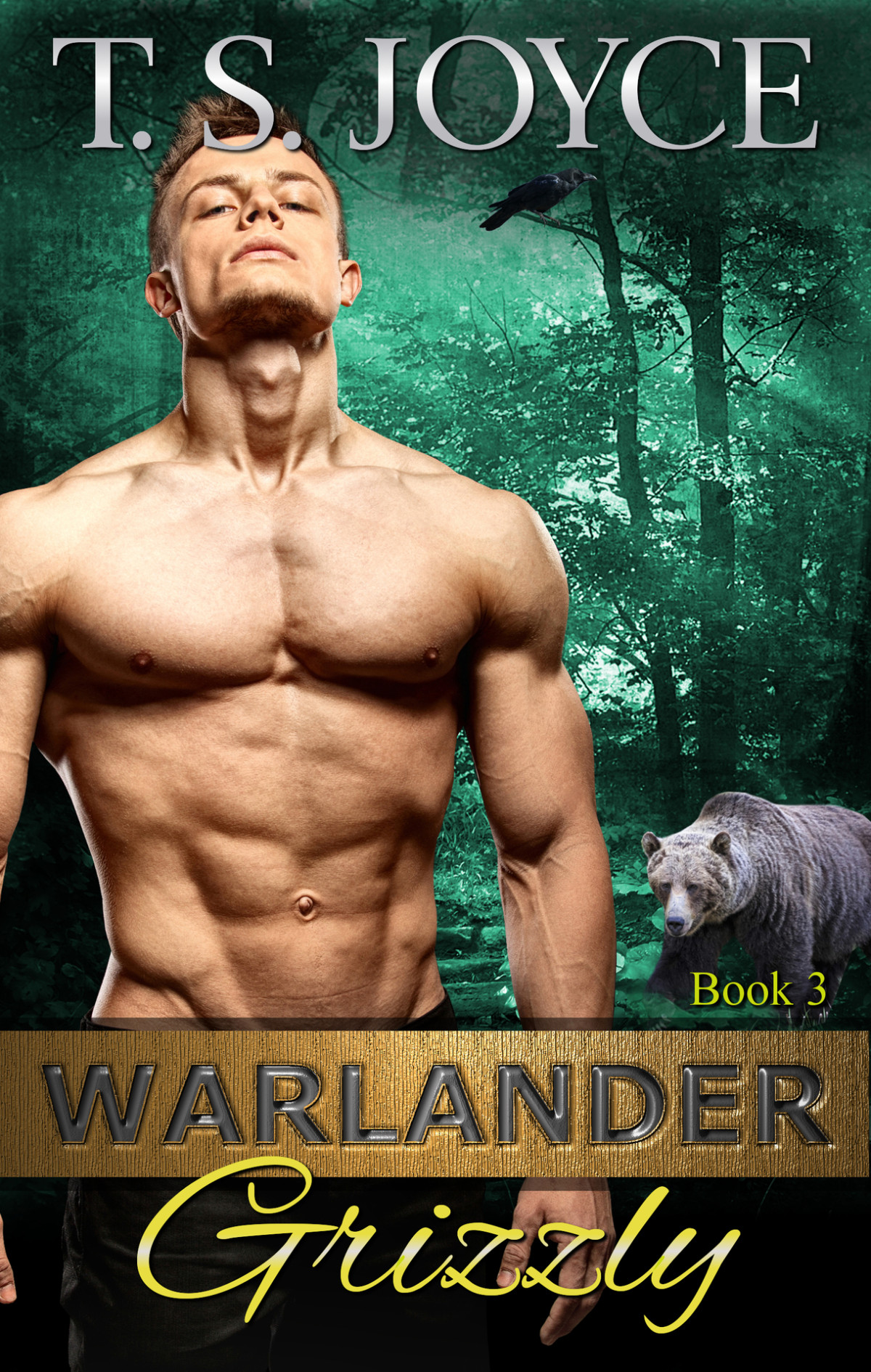 Warlander Grizzly T S Joyce