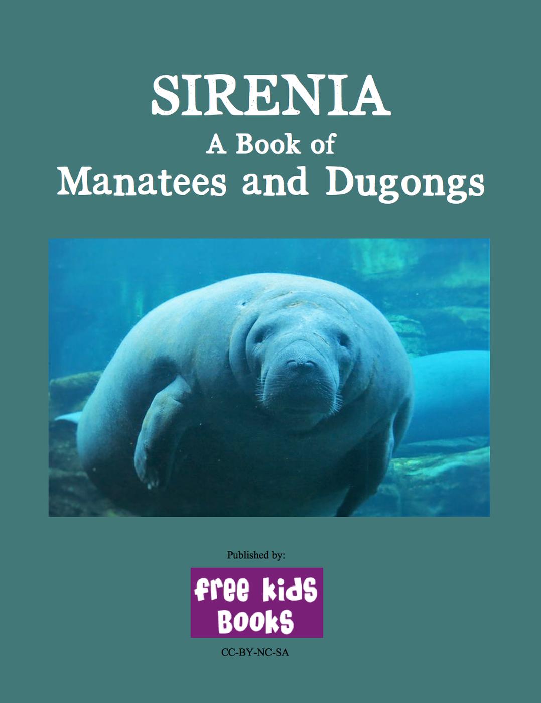 Sirenia A Book Of Manatees And Dugongs Danielle Bruckert