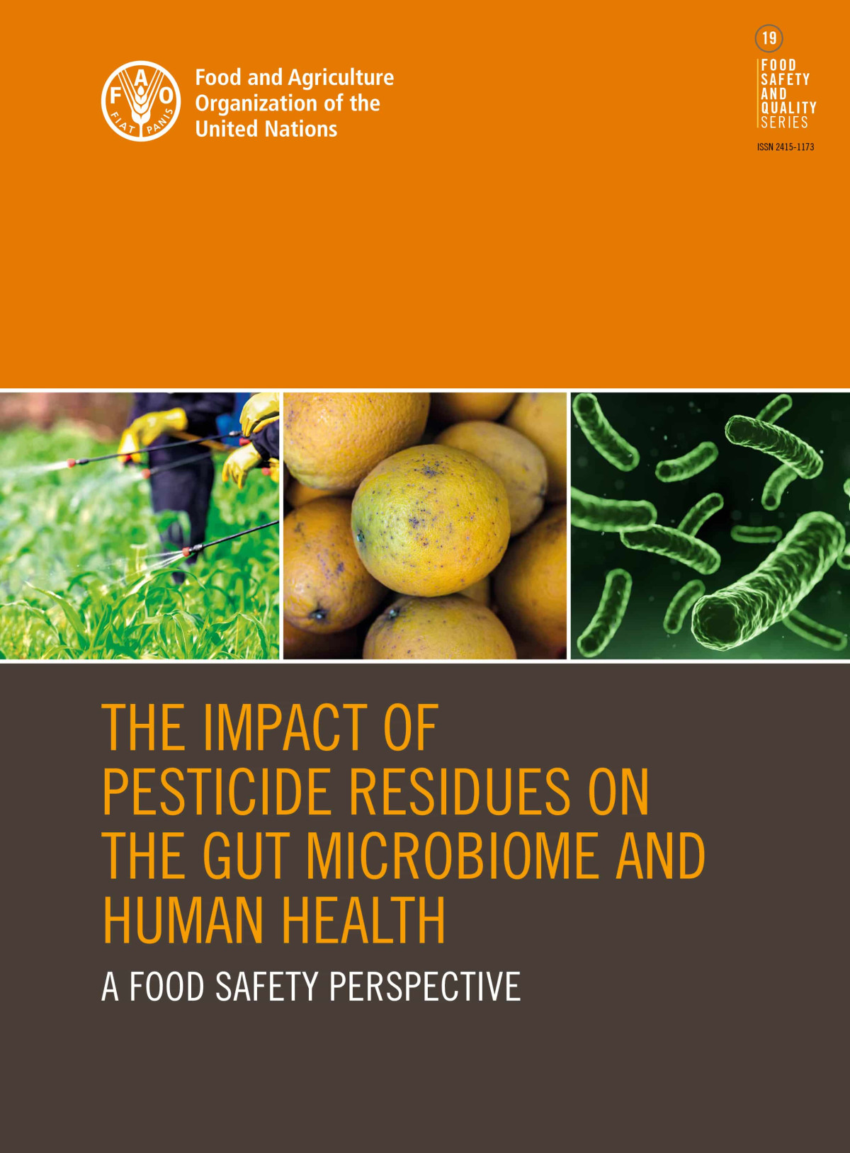 The Impact Of Pesticide Residues On The Gut Microbiome And Human Health Food And Agriculture Organization Of The United Nations