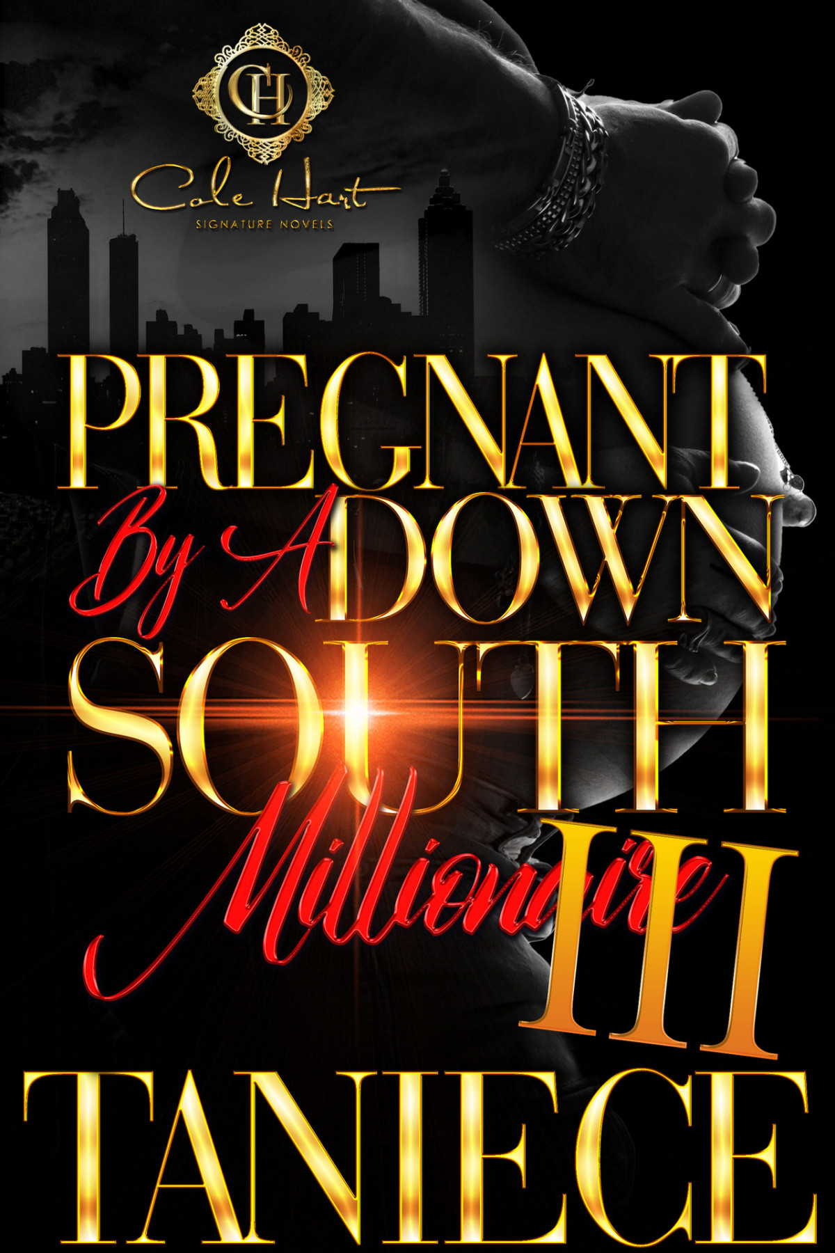 Pregnant By A Down South Millionaire 3 An African American Romance The Finale Taniece