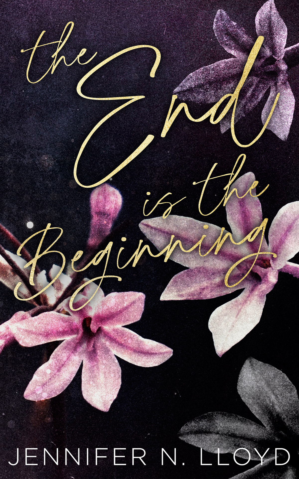The End Is The Beginning Jennifer N Lloyd