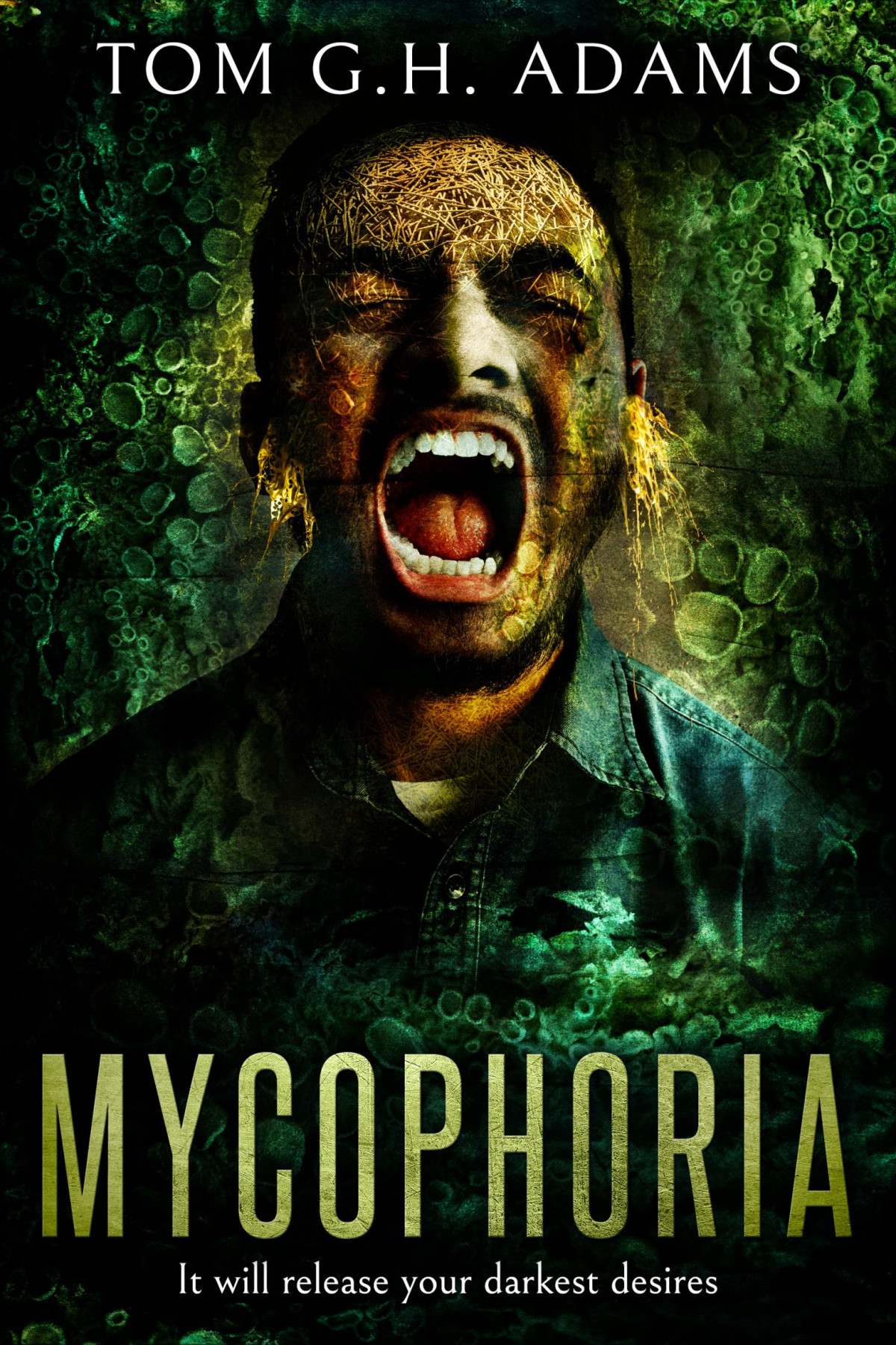 Mycophoria Tom Gh Adams