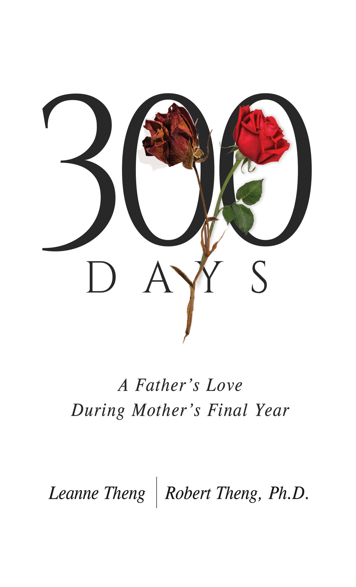 300 Days A Fathers Love During Mothers Final Year Leannetheng