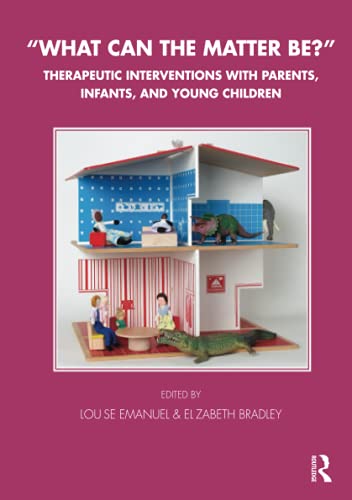 What Can The Matter Be Therapeutic Interventions With Parents Infants And Young Children 1st Edition Bradley