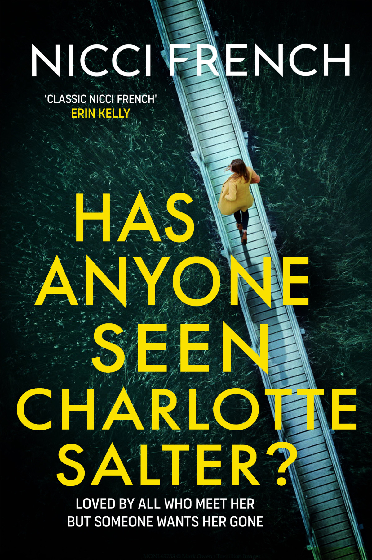 Has Anyone Seen Charlotte Salter Nicci French