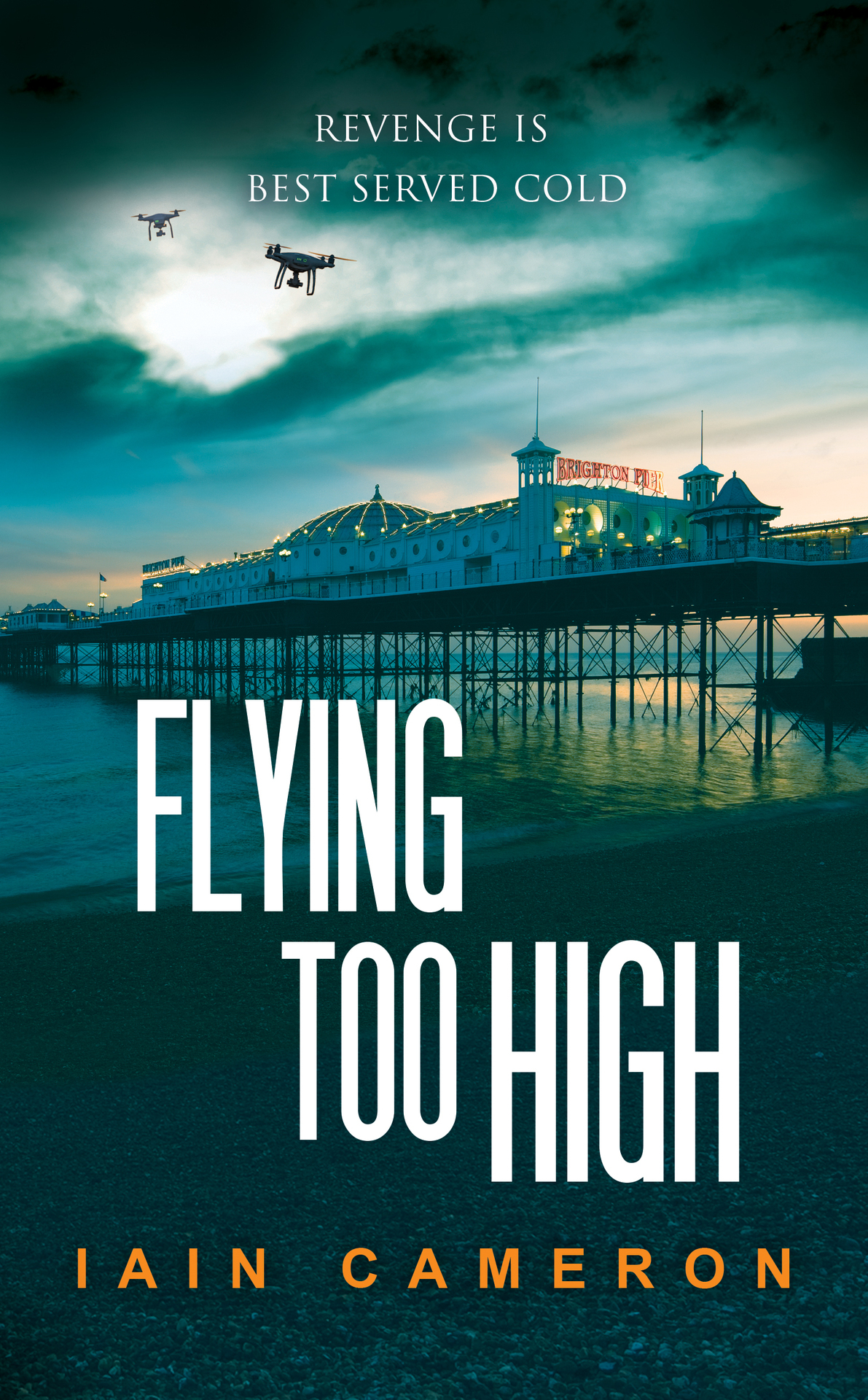 Flying Too High 1st Edition Iain Cameron