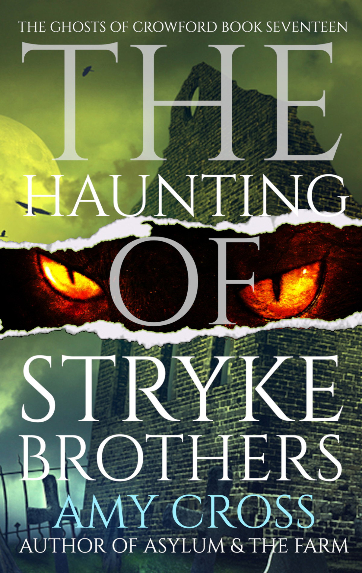The Haunting Of Stryke Brothers The Ghosts Of Crowford Book 17 Amy Cross