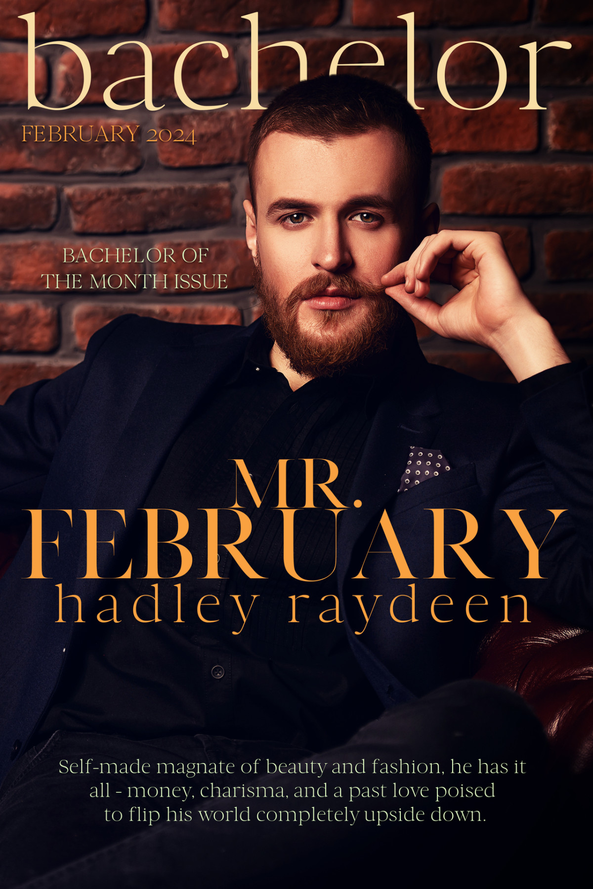 Mr February Bachelor Series Book 2 Hadley Raydeen