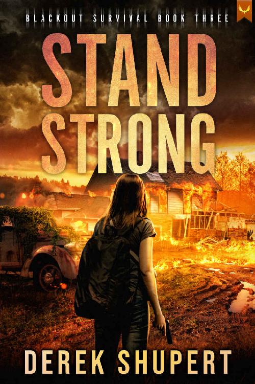Stand Strong A Postapocalyptic Empcme Survival Thriller Derek Shupert