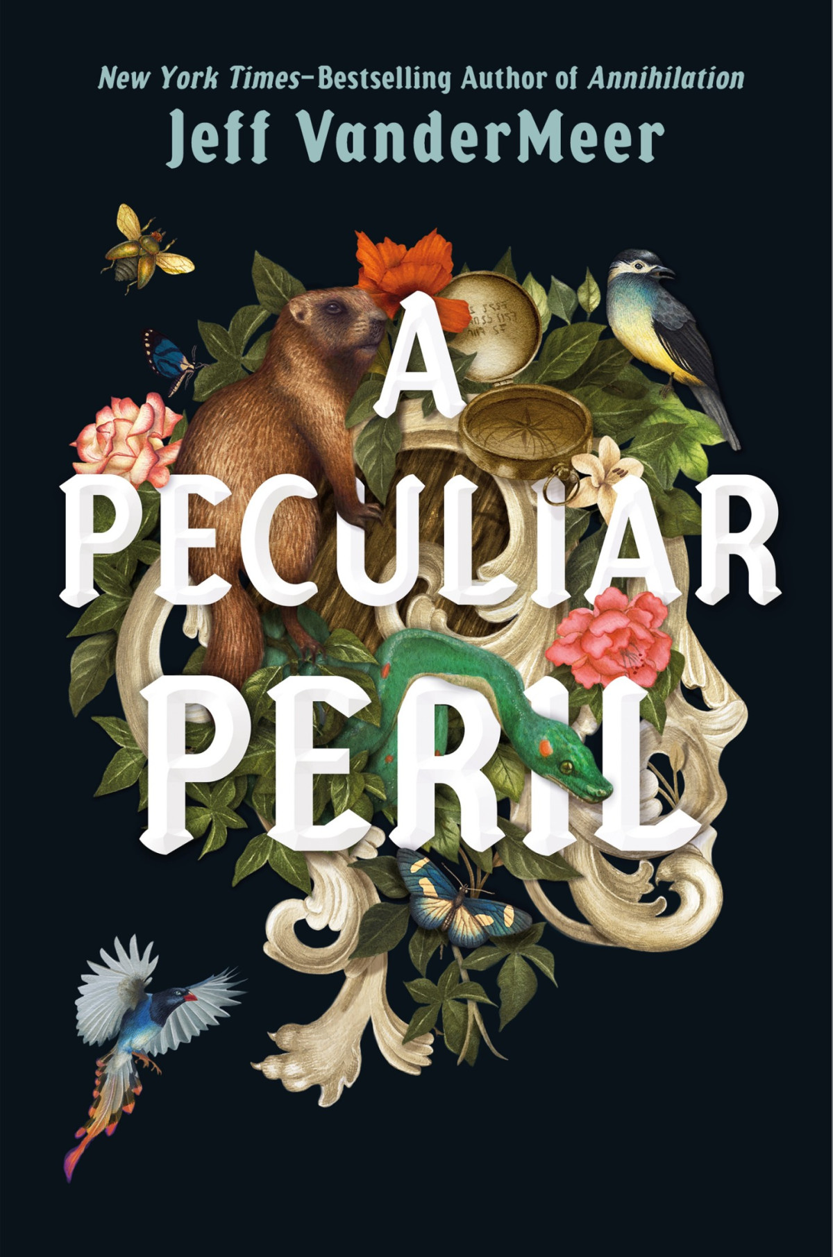 A Peculiar Peril Jeff Vandermeer