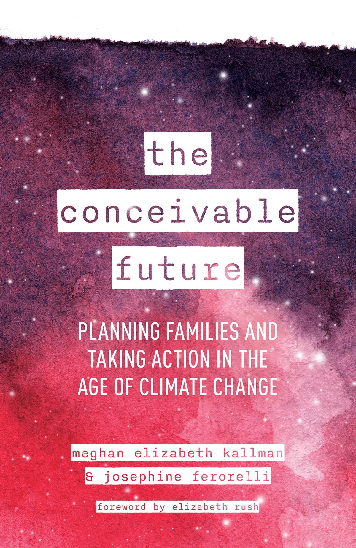 The Conceivable Future Meghan Elizabeth Kallman