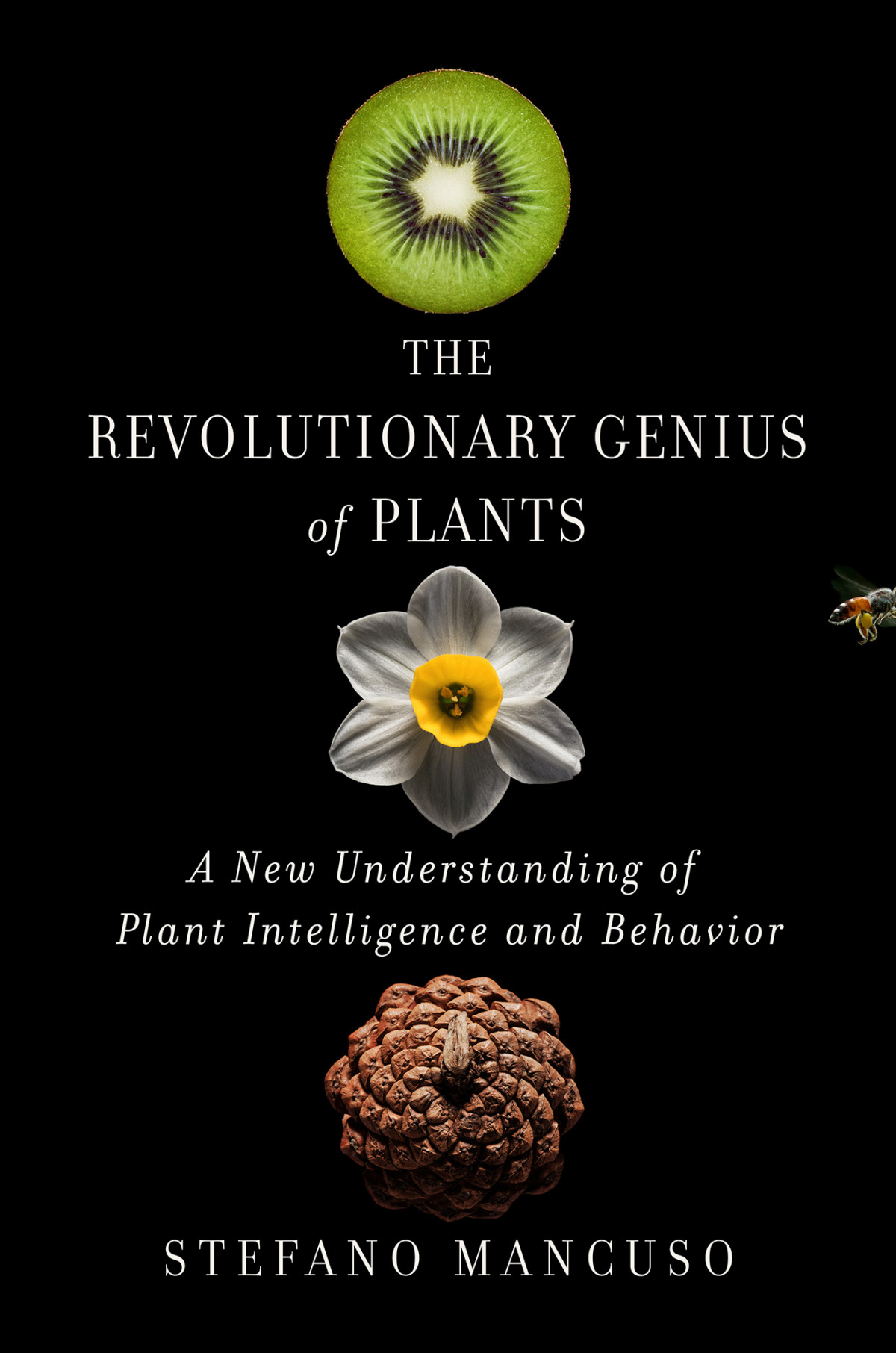 The Revolutionary Genius Of Plants Stefano Mancuso