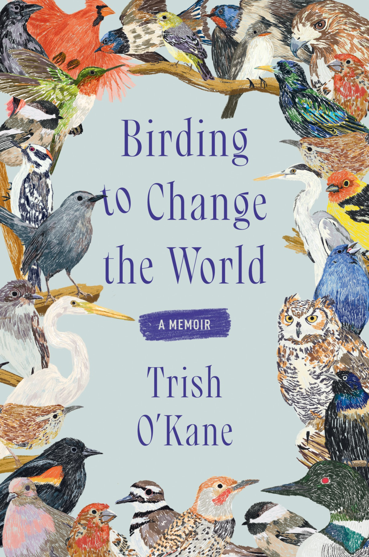 Birding To Change The World Trish Okane