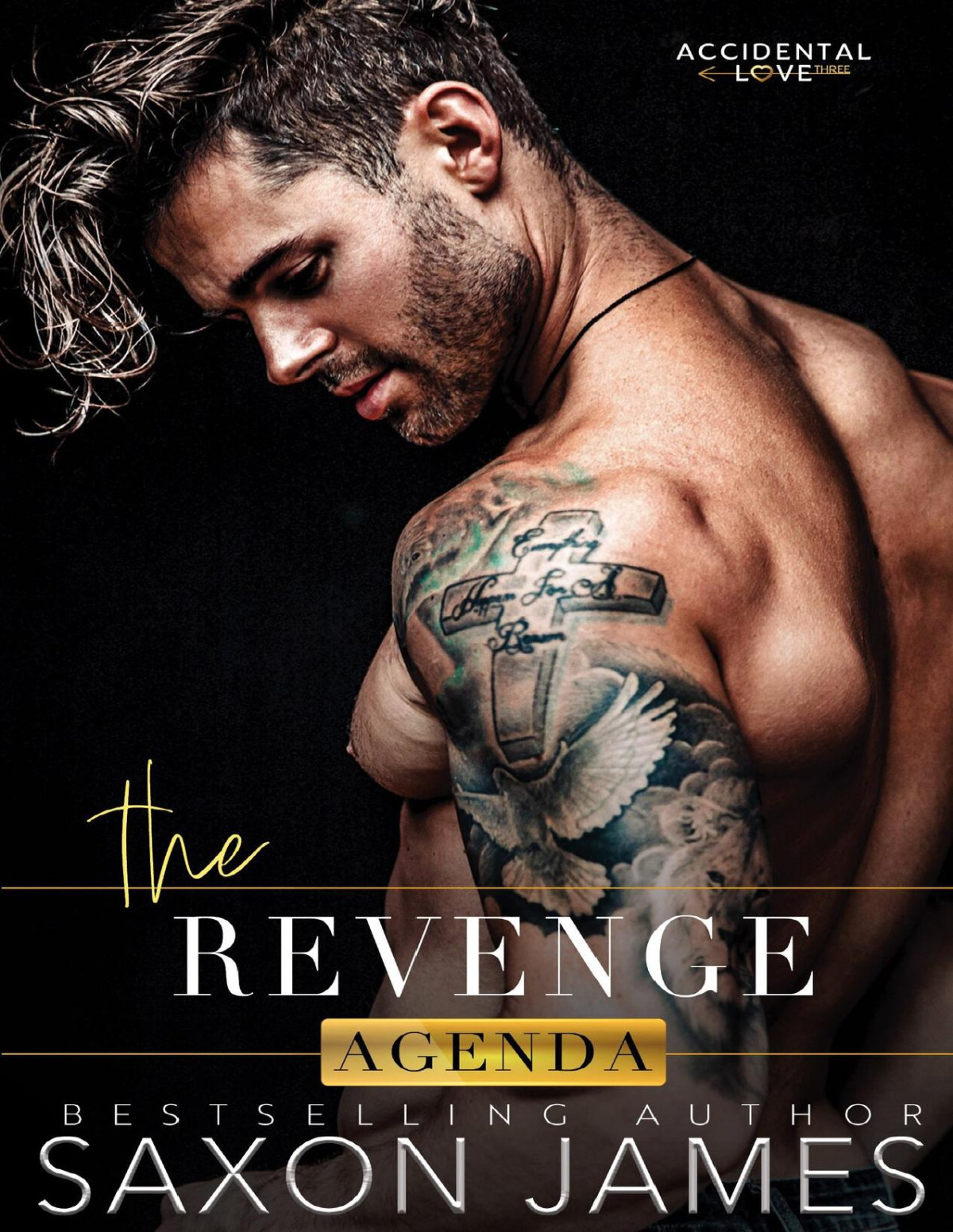 The Revenge Agenda Accidental Love Book 3 Saxon James