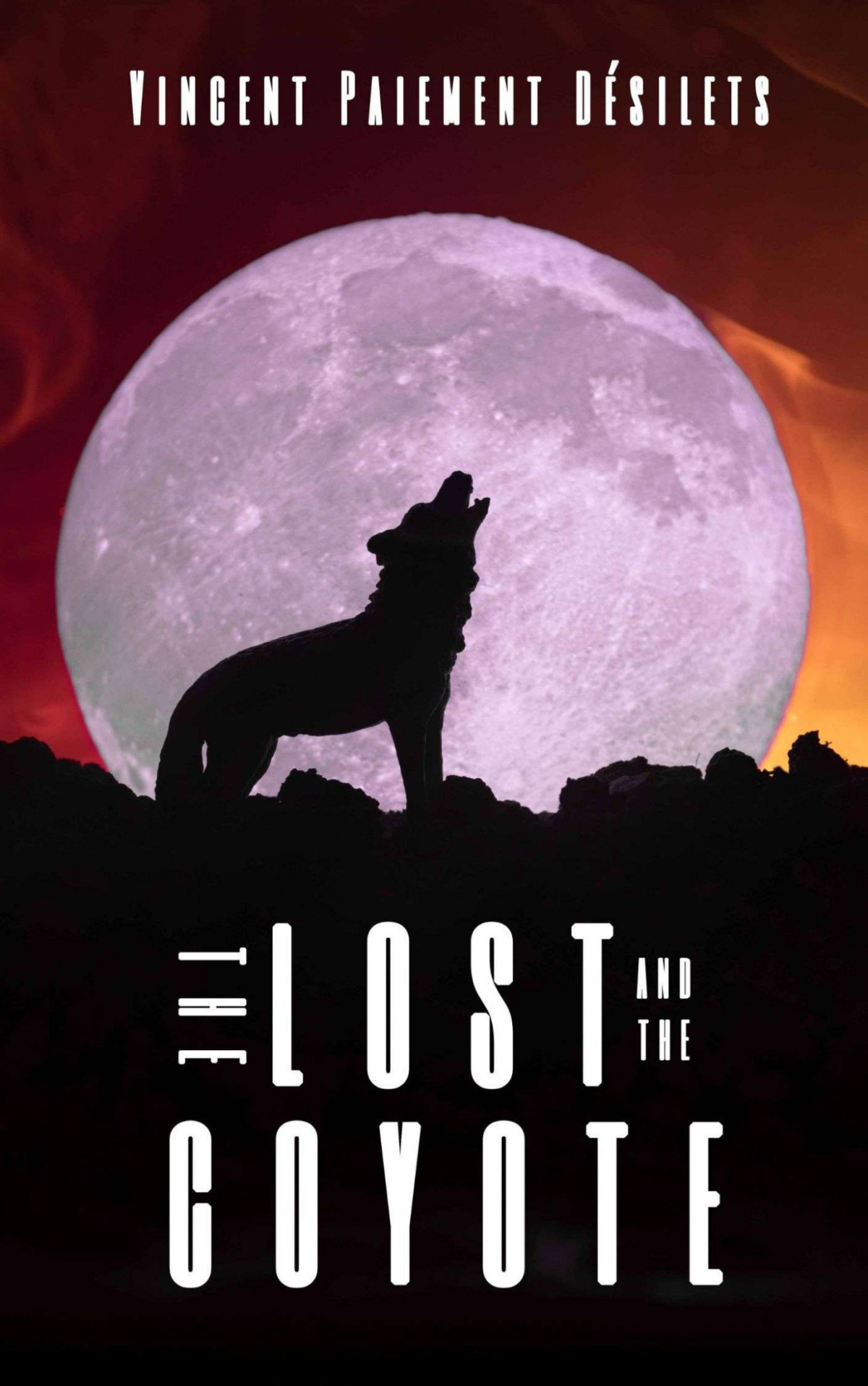 The Lost And The Coyote Vincent Paiement Dsilets