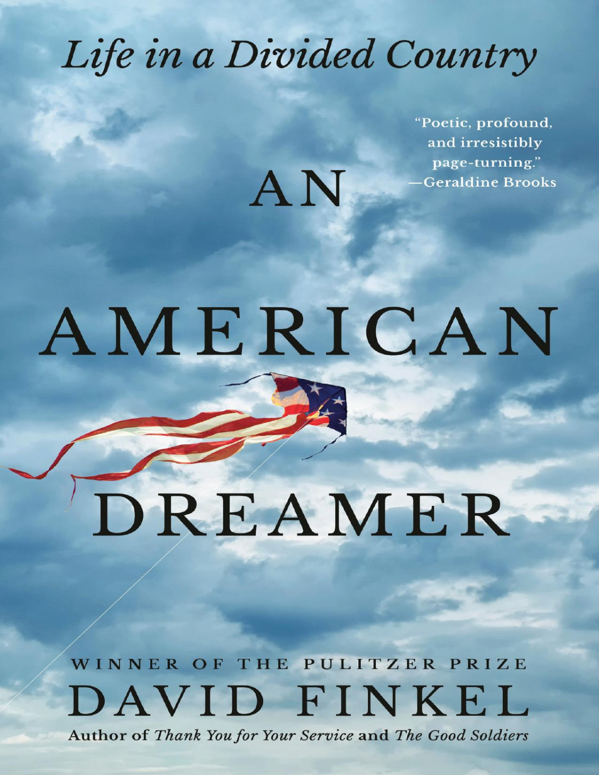 An American Dreamer Life In A Divided Country David Finkel
