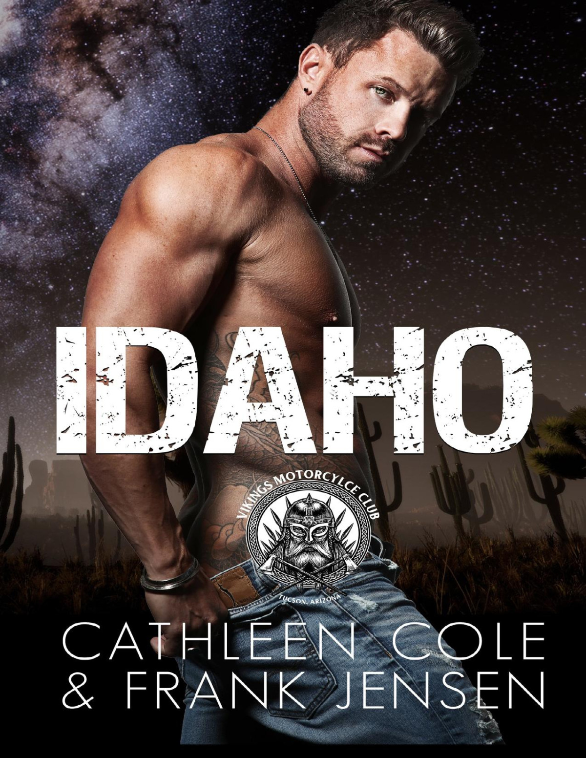 Idaho The Vikings Mc Tucson Chapter Book 7 Cathleen Cole Frank Jensen