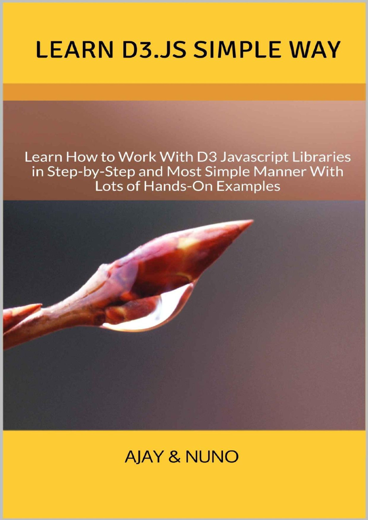 Learn D3js Simple Way Learn How To Work With D3 Javascript Libraries In Stepbystep And Most Simple Manner With Lots Of Handson Examples Nuno Correia Ajay Nayak