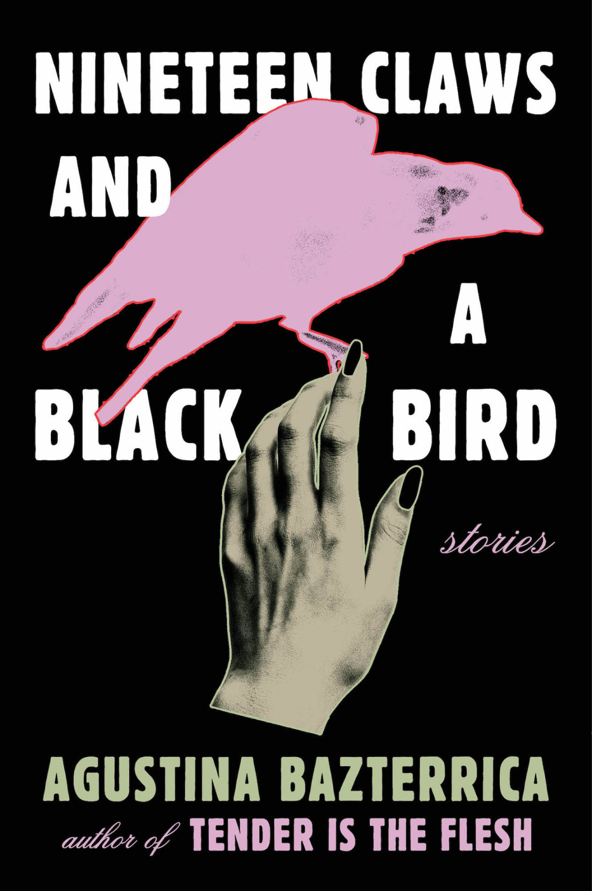 Nineteen Claws And A Black Bird Agustina Bazterrica Sarah Moses