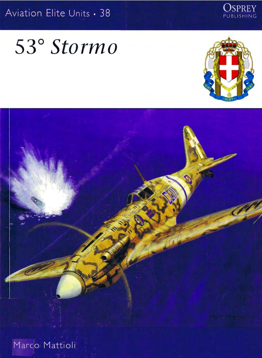 53 Stormo 1st Edition Marco Mattioli