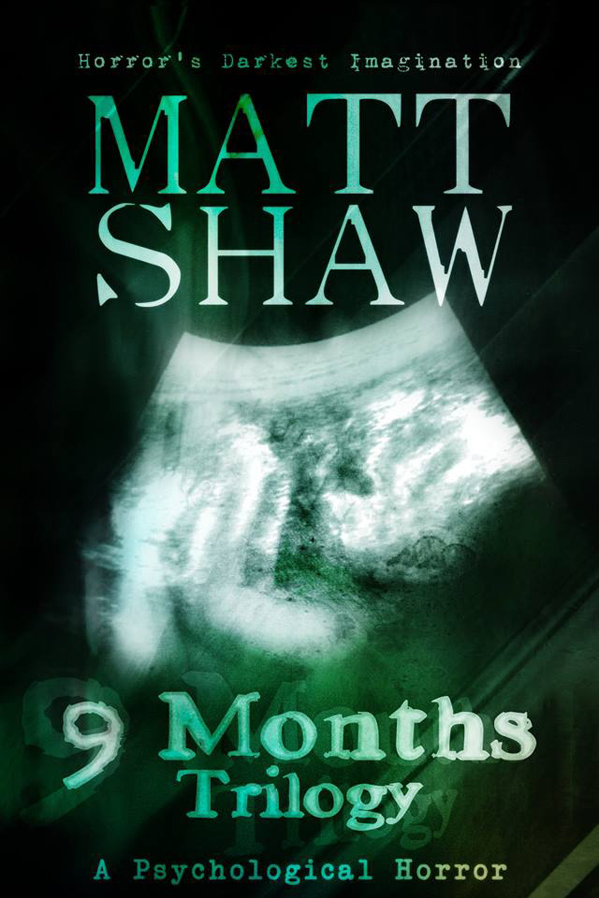 9 Months Trilogy A Novel Of Horror And Suspense Shaw Matt